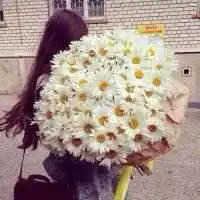 手捧鲜花女生头像微信头像图片大全