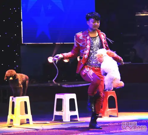 五国奥运大马戏园博园首埸演出图片