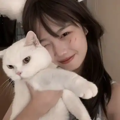 乐竟app