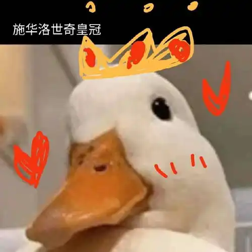 鹅