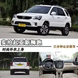 起亚狮跑图片大全