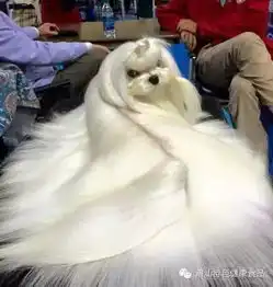 个子高也是挺可怜的