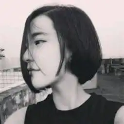 这是什么风格的图片
