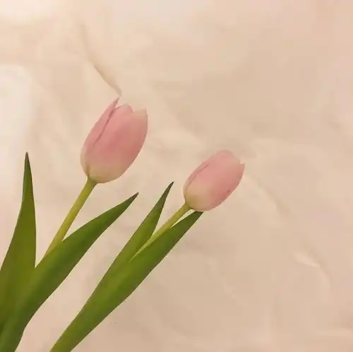 朋友圈甜甜的情话文案,瞬间俘获女孩的芳心