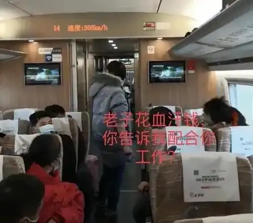 女子高铁不戴口罩大闹车厢,还打哭前来劝阻的乘务员,自称是泼妇