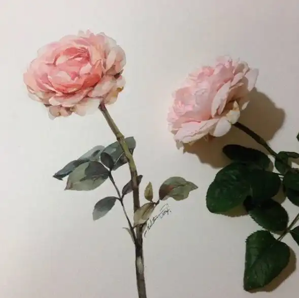 果然画如其人,美女的水彩作品也是温柔中带点小清新