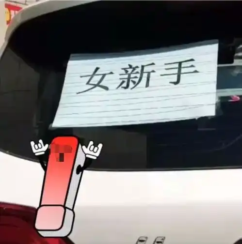 女新手首次开车,车尾5张纸让人后怕,谁敢靠近
