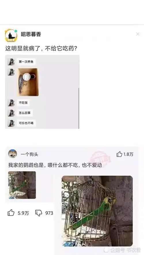 神回复女生会馋男孩子身子吗网友会,但我很能装