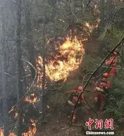 4月14日每天3分钟尽览天下事4岁女童成植物人,这种危险物件很多家长都爱用河南新科技市场位置确定
