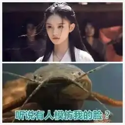 520,那个鲶鱼脸的女孩会答应你吗