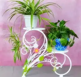 感恩每一个温暖的瞬间