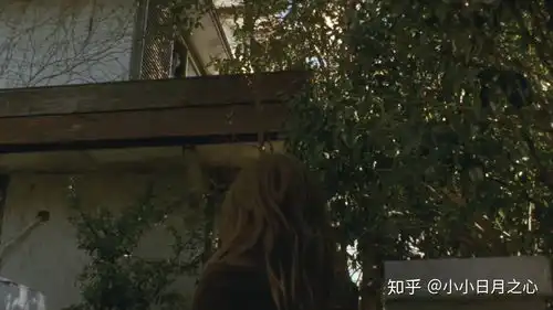 咒怨讲的是什么