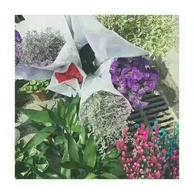 满天星女生头像微信头像唯美漂亮满天星