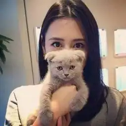 讨论区徐少女的会员的频道优酷视频