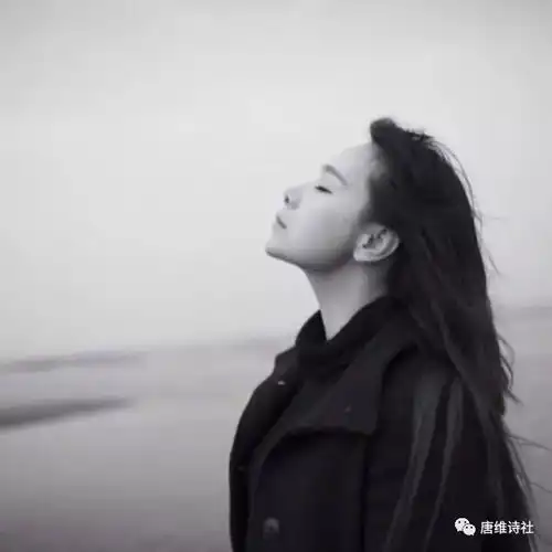 朗诵想你在夜里