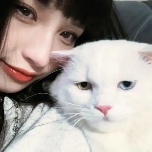 心仪头像人生本过客何必千千结