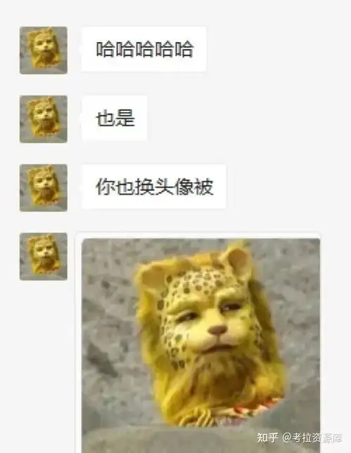 如何看待最近火起来的金钱豹头像梗