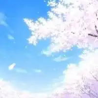 第一名美梦幻樱花头像女生
