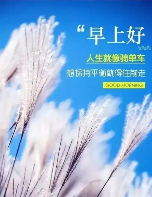 每个人都有一扇窗,推开了,看别人的繁华,早安