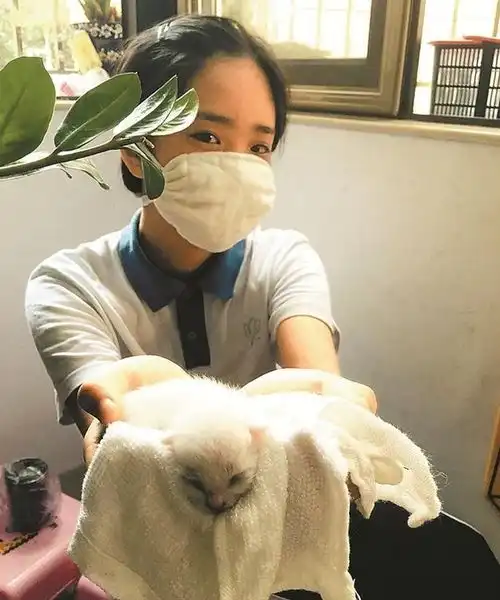初中女生自认很仙的4个举动,看似仙气飘飘,实则幼稚没眼看