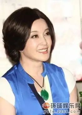 许晴那英刘嘉玲王菲中年女星风韵身材pk