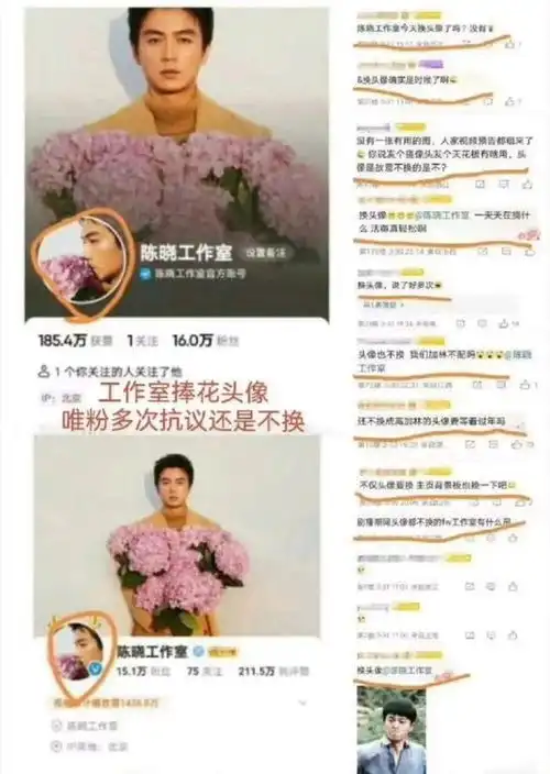 头像撞衫陈晓粉丝要求工作室换掉捧花头像,因为与刘亦菲雷同
