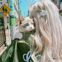 情义张怡吖