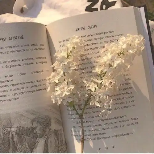 值得摘抄下来的句子,如果喜欢,就写下来呗