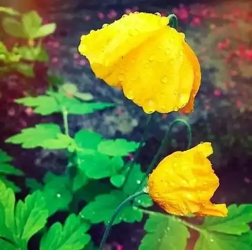 阴雨天拍照,这些小套路瞬间提高你的艺术格调