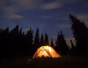 想陪你看星星看月亮看日出