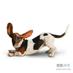 千岛湖新闻网