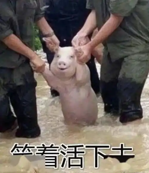 微信头像使用国旗违法,要牢底坐穿警方这样回应