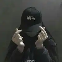 姐不疯只是够跩