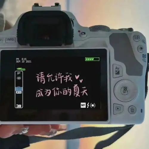 5.30文字背景图