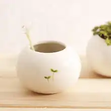 小花盆来自暖小茜olivia的图片分享