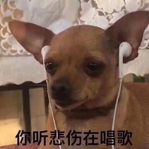 金牛女是不是都被天蝎男吃的死死的
