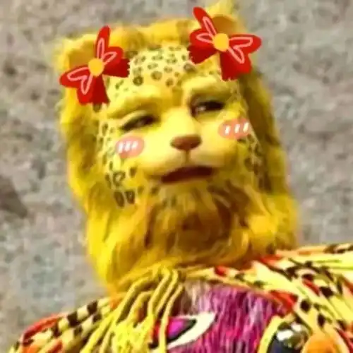 金钱豹头像