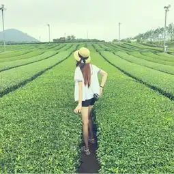 女生头像背影