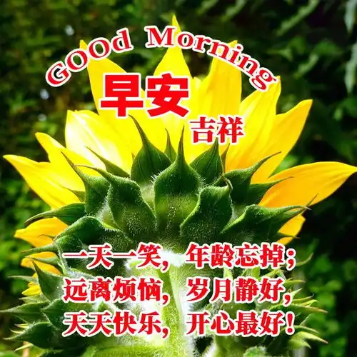 周四群发温馨的早上好问候语,早安语录正能量句子,愿周四安康