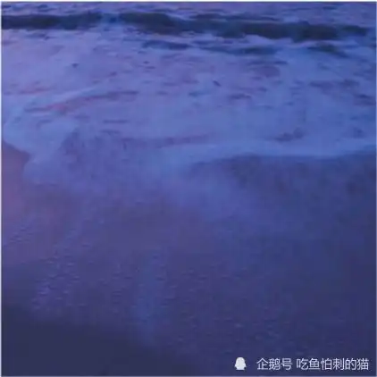 满是星辰大海的精美文案