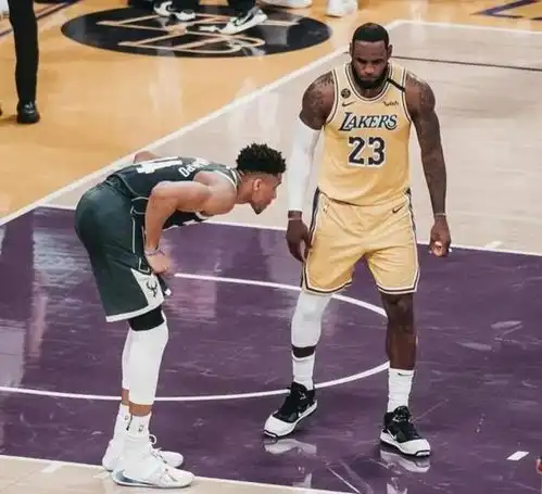 nba11月盘点一路高歌的篮网勇士,萎靡不振的雄鹿湖人