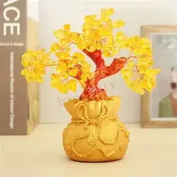 这颗树价值2个亿,连叶子都是黄金,看一眼就财源滚滚