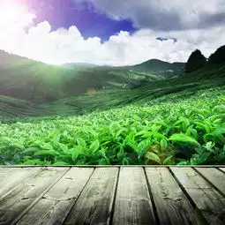 文艺首图背景图片免费下载主图直通车psd千库网图片编号336653