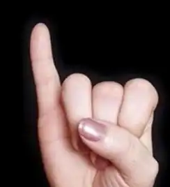 qq表情里的一个手竖起小拇指是什么意思