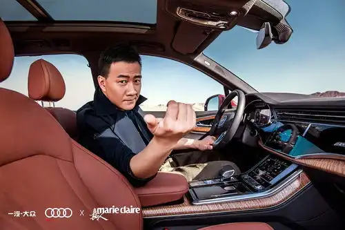 胡军和奥迪配吗