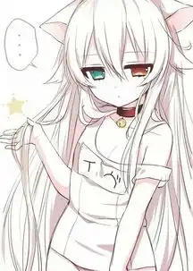 她叫什么名字哪部动漫