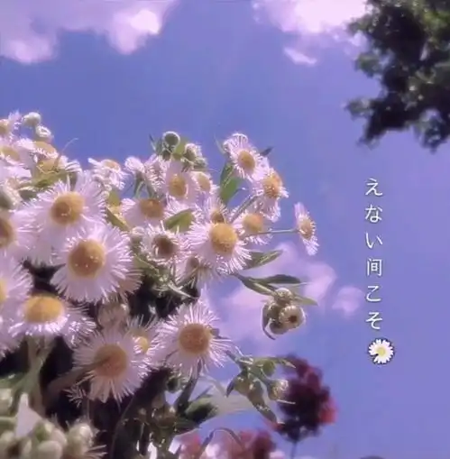 好词好句好歌