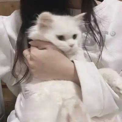 ins森系唯美真人优质女生头像灵女生头像我要个性网