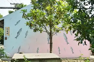 街拍满分照片,来崇明网红涂鸦墙一键get