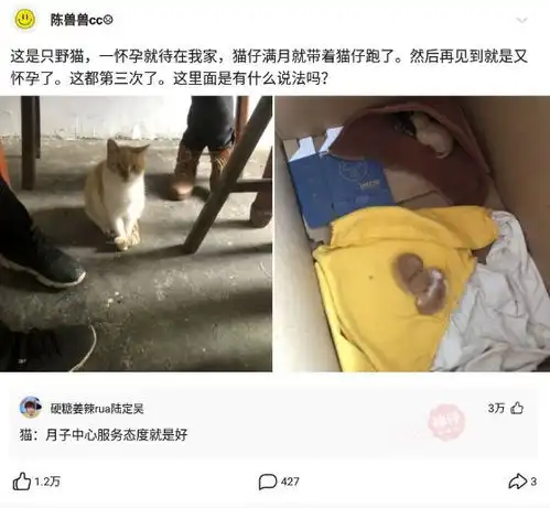 神回复我太不自信了,连女孩都不敢谈,你们能不能给我点信心